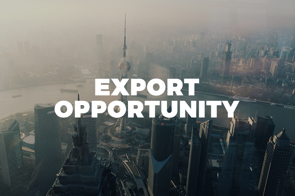 export opportunity - photo by Haley on https://unsplash.com/photos/YUnN0Z-1mcY