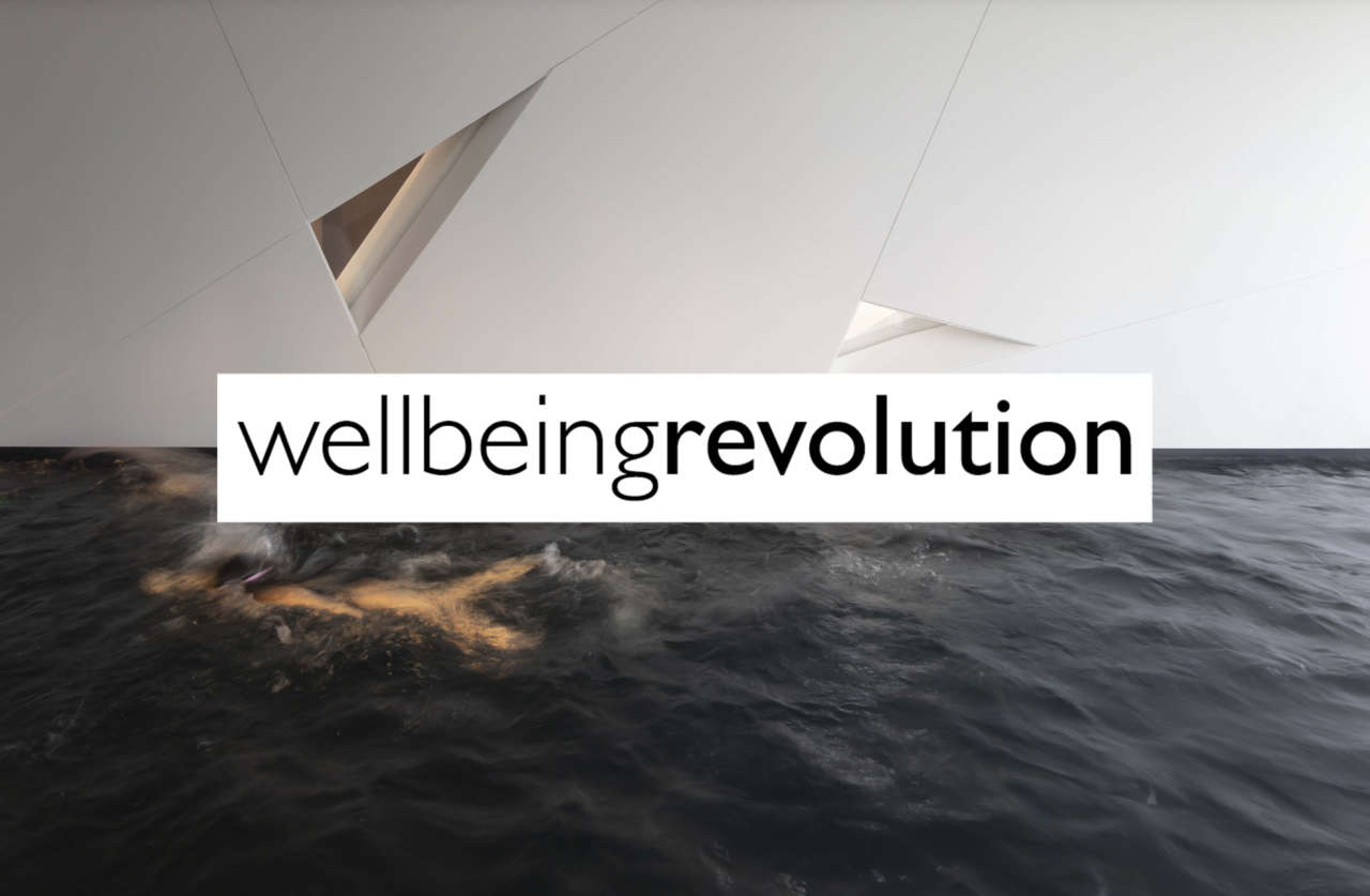 Well-being Revolution